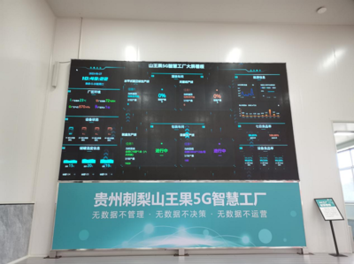 深耕四張精品網(wǎng) 助力中國(guó)式現(xiàn)代化開(kāi)新篇 走進(jìn)云上之城的數(shù)據(jù)處理與存儲(chǔ)服務(wù)