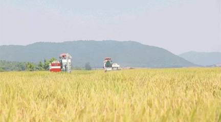 政策東風(fēng)至，農(nóng)機(jī)企業(yè)迎轉(zhuǎn)機(jī) 聚焦農(nóng)業(yè)生產(chǎn)托管服務(wù)的六大戰(zhàn)略機(jī)遇